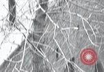 Image of cat rescued by a young man Brooklyn New York City USA, 1930, second 18 stock footage video 65675026886