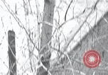 Image of cat rescued by a young man Brooklyn New York City USA, 1930, second 19 stock footage video 65675026886