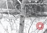 Image of cat rescued by a young man Brooklyn New York City USA, 1930, second 20 stock footage video 65675026886