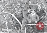 Image of cat rescued by a young man Brooklyn New York City USA, 1930, second 21 stock footage video 65675026886