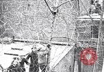 Image of cat rescued by a young man Brooklyn New York City USA, 1930, second 26 stock footage video 65675026886