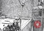 Image of cat rescued by a young man Brooklyn New York City USA, 1930, second 27 stock footage video 65675026886
