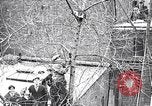 Image of cat rescued by a young man Brooklyn New York City USA, 1930, second 28 stock footage video 65675026886