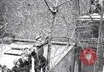 Image of cat rescued by a young man Brooklyn New York City USA, 1930, second 29 stock footage video 65675026886