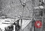 Image of cat rescued by a young man Brooklyn New York City USA, 1930, second 30 stock footage video 65675026886
