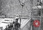 Image of cat rescued by a young man Brooklyn New York City USA, 1930, second 31 stock footage video 65675026886
