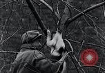 Image of cat rescued by a young man Brooklyn New York City USA, 1930, second 35 stock footage video 65675026886