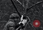 Image of cat rescued by a young man Brooklyn New York City USA, 1930, second 36 stock footage video 65675026886