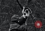 Image of cat rescued by a young man Brooklyn New York City USA, 1930, second 38 stock footage video 65675026886