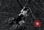 Image of cat rescued by a young man Brooklyn New York City USA, 1930, second 39 stock footage video 65675026886