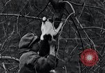 Image of cat rescued by a young man Brooklyn New York City USA, 1930, second 41 stock footage video 65675026886