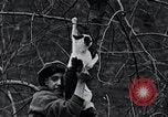 Image of cat rescued by a young man Brooklyn New York City USA, 1930, second 44 stock footage video 65675026886