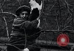 Image of cat rescued by a young man Brooklyn New York City USA, 1930, second 49 stock footage video 65675026886
