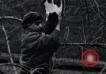 Image of cat rescued by a young man Brooklyn New York City USA, 1930, second 51 stock footage video 65675026886