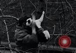 Image of cat rescued by a young man Brooklyn New York City USA, 1930, second 53 stock footage video 65675026886