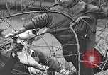 Image of cat rescued by a young man Brooklyn New York City USA, 1930, second 58 stock footage video 65675026886