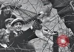 Image of cat rescued by a young man Brooklyn New York City USA, 1930, second 60 stock footage video 65675026886