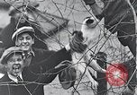 Image of cat rescued by a young man Brooklyn New York City USA, 1930, second 61 stock footage video 65675026886
