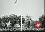 Image Memorial Day Exercice Suresnes France, 1919, de la seconde 55 séquences d'archives historiques vidéo 65675026978
