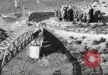 Immagine di Il Madurodam apertura L'Aia Paesi Bassi, 1954, secondo 31 filmato di repertorio 65675026994