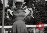 Immagine di Modelli olandese Holland Olanda, 1954, secondo 24 filmato di repertorio 65675026997