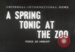 Immagine di Olio di ippoglosso per animali Regno Unito, 1954, secondo 1 filmato di repertorio 65675026998