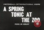 Immagine di Olio di ippoglosso per animali Regno Unito, 1954, secondo 3 filmato di repertorio 65675026998
