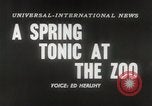 Immagine di Olio di ippoglosso per animali Regno Unito, 1954, secondo 5 filmato di repertorio 65675026998