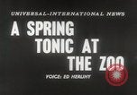 Immagine di Olio di ippoglosso per animali Regno Unito, 1954, secondo 6 filmato di repertorio 65675026998