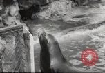 Immagine di Olio di ippoglosso per animali Regno Unito, 1954, secondo 17 filmato di repertorio 65675026998