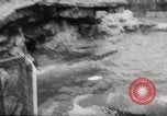 Immagine di Olio di ippoglosso per animali Regno Unito, 1954, secondo 19 filmato di repertorio 65675026998