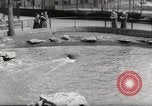Immagine di Olio di ippoglosso per animali Regno Unito, 1954, secondo 24 filmato di repertorio 65675026998