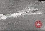 Immagine di Olio di ippoglosso per animali Regno Unito, 1954, secondo 26 filmato di repertorio 65675026998