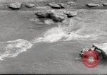 Immagine di Olio di ippoglosso per animali Regno Unito, 1954, secondo 27 filmato di repertorio 65675026998