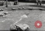 Immagine di Olio di ippoglosso per animali Regno Unito, 1954, secondo 29 filmato di repertorio 65675026998