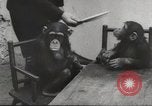 Immagine di Olio di ippoglosso per animali Regno Unito, 1954, secondo 40 filmato di repertorio 65675026998