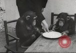 Immagine di Olio di ippoglosso per animali Regno Unito, 1954, secondo 41 filmato di repertorio 65675026998