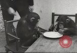 Immagine di Olio di ippoglosso per animali Regno Unito, 1954, secondo 42 filmato di repertorio 65675026998