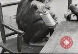 Immagine di Olio di ippoglosso per animali Regno Unito, 1954, secondo 52 filmato di repertorio 65675026998