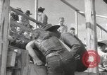 Immagine di Junior Rodeo John Day Oregon USA, 1954, secondo 5 filmato di repertorio 65675027005