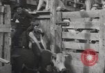 Immagine di Junior Rodeo John Day Oregon USA, 1954, secondo 15 filmato di repertorio 65675027005