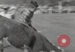 Immagine di Junior Rodeo John Day Oregon USA, 1954, secondo 24 filmato di repertorio 65675027005