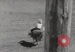 Immagine di Junior Rodeo John Day Oregon USA, 1954, secondo 31 filmato di repertorio 65675027005