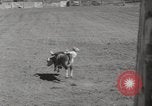 Immagine di Junior Rodeo John Day Oregon USA, 1954, secondo 32 filmato di repertorio 65675027005