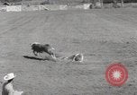 Immagine di Junior Rodeo John Day Oregon USA, 1954, secondo 33 filmato di repertorio 65675027005