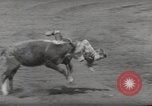 Immagine di Junior Rodeo John Day Oregon USA, 1954, secondo 41 filmato di repertorio 65675027005