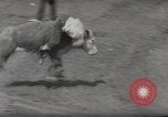 Immagine di Junior Rodeo John Day Oregon USA, 1954, secondo 45 filmato di repertorio 65675027005