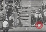 Immagine di Junior Rodeo John Day Oregon USA, 1954, secondo 51 filmato di repertorio 65675027005