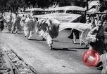 Immagine di I monaci e le monache Saigon Vietnam, 1965, secondo 40 filmato di repertorio 65675027007