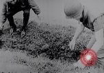 Standbild Schlacht von Hue Hue Vietnam, 1968, aus Sekunde 48 historischem Filmmaterial Videoclip 65675027012